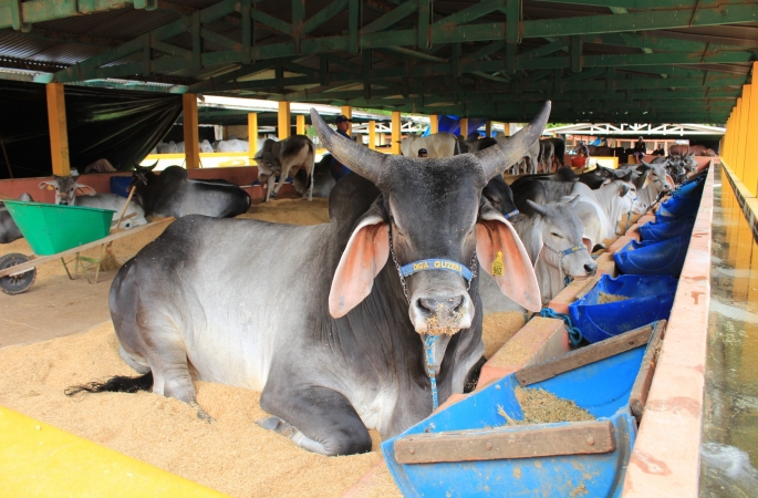 Retrospectiva:Avaré recebeu prêmio do Programa Município Agro