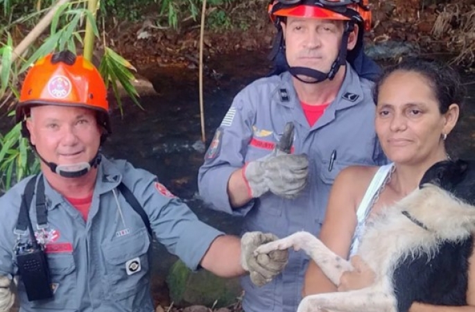 Bombeiros resgatam cadela que ficou presa em bambuzal nas margens de rio no interior de SP