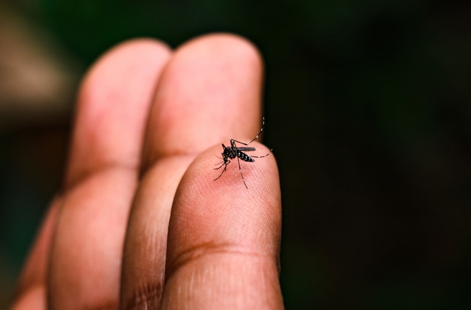 Secretaria da Saúde divulga boletim atualizado sobre casos de Dengue; Covid registra 7 casos