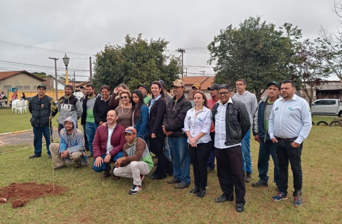 Projeto garante plantio de mudas nativas em praça de Avaré