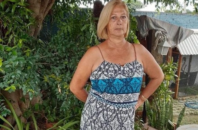 Mulher morre após levar mais de 100 picadas de abelhas