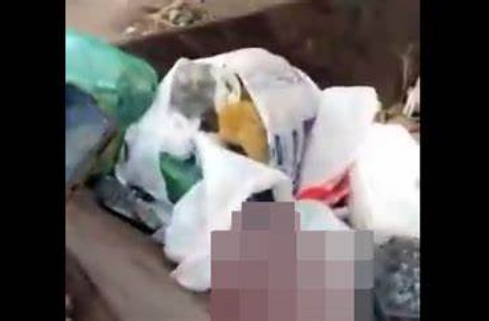 Recém-nascida é encontrada morta em caçamba de lixo no interior de SP