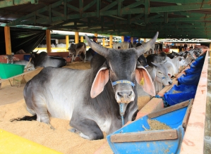 Retrospectiva:Avaré recebeu prêmio do Programa Município Agro