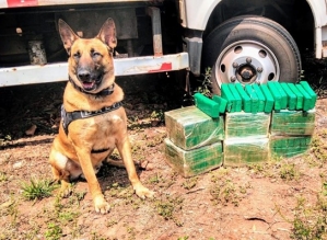 Polícia apreende drogas em guincho que estava em pátio e iria para leilão em Avaré