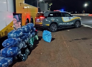 Bolivianas são presas por tráfico de drogas ao serem flagradas com folhas de coca in natura