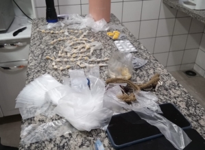 Polícia Civil apreende 169 pedras de crack e prende dois suspeitos