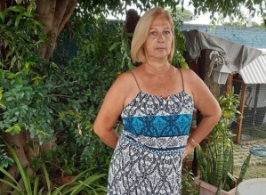 Mulher morre após levar mais de 100 picadas de abelhas