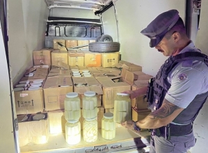 Homem é preso com carga ilegal de mais de uma tonelada de palmito juçara no interior de SP